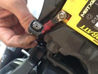 image1-5.jpg image1-5.jpg