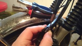 suzu17.jpg suzu17.jpg