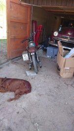 suzu33.jpg suzu33.jpg