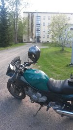 metsäoppi.jpg metsäoppi.jpg