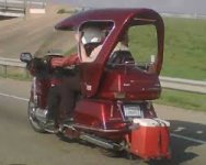 kattowingi.jpg kattowingi.jpg