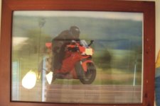 speed1 – Kopio.jpg speed1 – Kopio.jpg