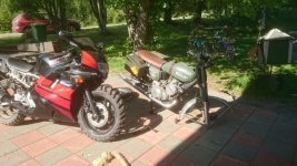 suzu39.jpg suzu39.jpg