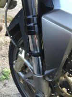 IMG_2880.jpg IMG_2880.jpg