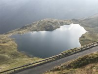 IMG_06099adab.md.jpg IMG_06099adab.md.jpg