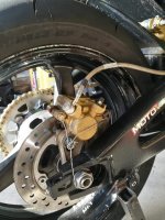 FB_IMG_1587317736453.jpg FB_IMG_1587317736453.jpg