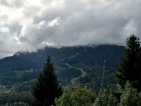 fullsizeoutput_5ed3843.md.jpg fullsizeoutput_5ed3843.md.jpg