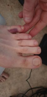 WhatsApp Image 2020-05-05 at 16.39.54.jpg WhatsApp Image 2020-05-05 at 16.39.54.jpg