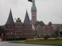 P9080303d5288.md.jpg P9080303d5288.md.jpg