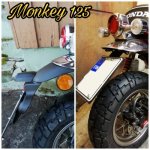 MonkeyFender_platexxx.jpg