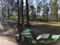 79D2711F-E3A8-42D4-AABF-9CF24E9E2089.jpg 79D2711F-E3A8-42D4-AABF-9CF24E9E2089.jpg