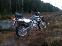 Snadi etsässä Loppiasena 2018.jpg