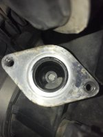 IMG_1156.jpg IMG_1156.jpg