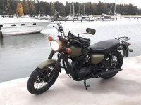 W650green_640.jpg
