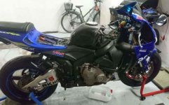 org.mp12 (1) (1).jpg