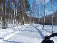 DSCN0011 (3)2018a.jpg