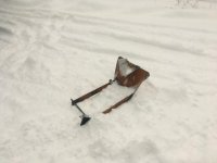 E9406E75-9566-4969-8561-11F8FF9720B5.jpg E9406E75-9566-4969-8561-11F8FF9720B5.jpg