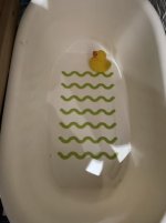 97DE7548-AD88-48CA-B4FE-27621FA1A066.jpg 97DE7548-AD88-48CA-B4FE-27621FA1A066.jpg