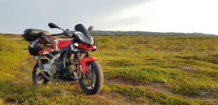 norjassa.jpg norjassa.jpg