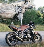 118228853_10158571986187954_335255482561817167_o.jpg 118228853_10158571986187954_335255482561817167_o.jpg