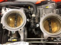 imukurkut-1.jpg imukurkut-1.jpg