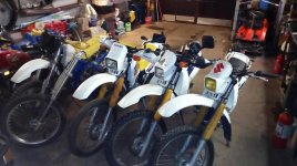 IMG_1512662236596 (Custom).jpg