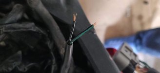 IMG_20190822_090821.jpg IMG_20190822_090821.jpg