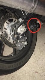 5ED74871-3315-4CDF-9BEF-631367D3810B.jpg 5ED74871-3315-4CDF-9BEF-631367D3810B.jpg