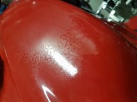 20190910_220750 (Medium).jpg