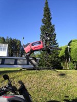 IMG_20220713_192817.jpg IMG_20220713_192817.jpg