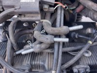 20230506_184117 - Edited.jpg