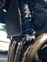 20230507_085202 - Edited.jpg