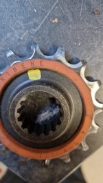 origratas.jpg origratas.jpg