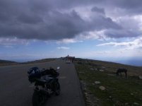 IMG_20170906_161537 (800x600).jpg