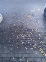 IMG_20191023_131230.jpg IMG_20191023_131230.jpg