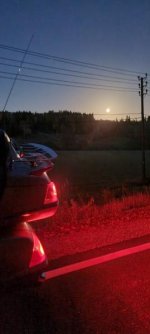 mollukka2.jpg mollukka2.jpg