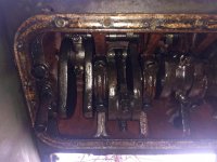 IMG_20201010_170650033 (1).jpg