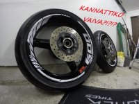 vanteet.jpg vanteet.jpg