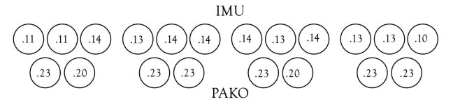 rykkönen venat copy.jpg