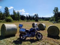 IMG_20240628_133344x.jpg IMG_20240628_133344x.jpg