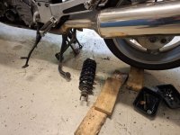 WhatsApp-Kuva 2025-06-24 klo 06.13.58_0a2c4add.jpg