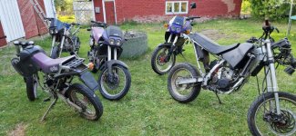 Pegasot.jpg Pegasot.jpg