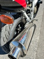 IMG_0634.JPEG