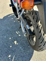 IMG_0635.JPEG
