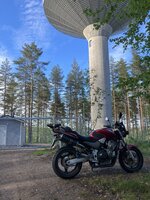 IMG_2666.jpeg