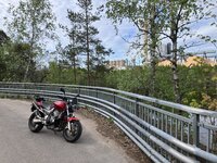 IMG_2668.jpeg