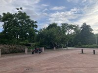 IMG_2815.jpeg