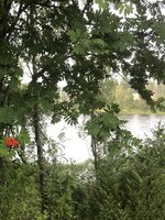 IMG_9497.jpeg