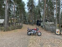 IMG_3132.jpeg