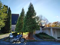 IMG_20261018_140630.jpg
